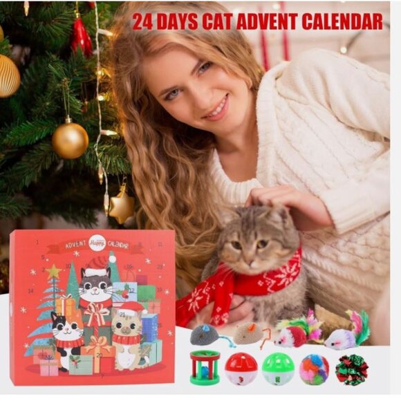 Interactive Cat Advent Calendar: 24 Days/ NEW - Picture 1 of 3